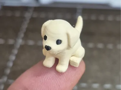 Very Tiny Cute Mini Puppy