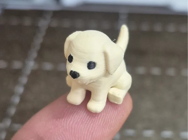 Very Tiny Cute Mini Puppy