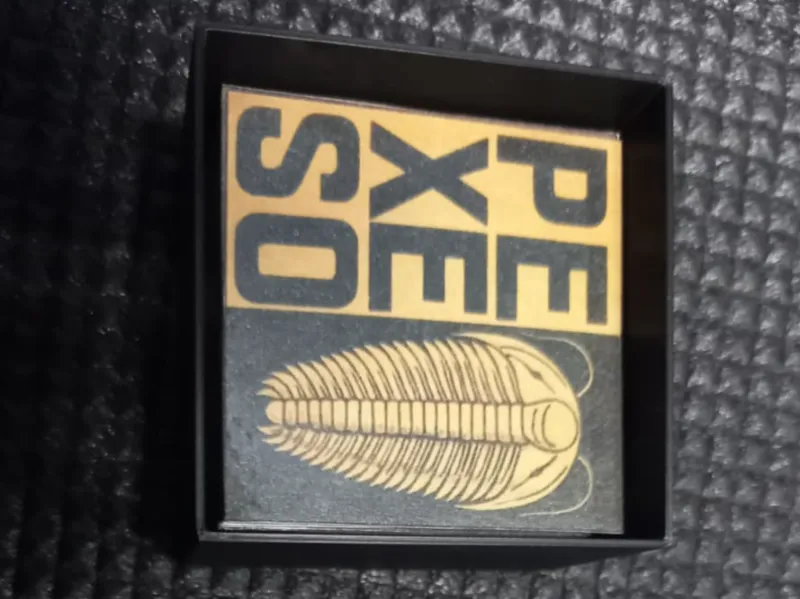 pexeso (memory) game box