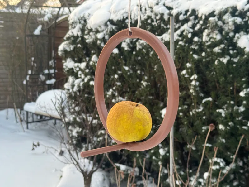 Bird feeder for apples