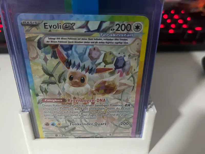 TCG Toploader Storage