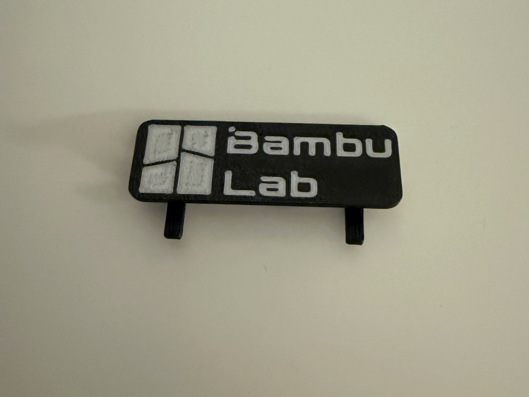 Bambu Lab Skadis Logo
