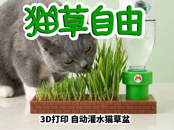 https://makerworld.bblmw.com/makerworld/model/US1512760ad48da2/design/ff9f0bf956e71305.jpg