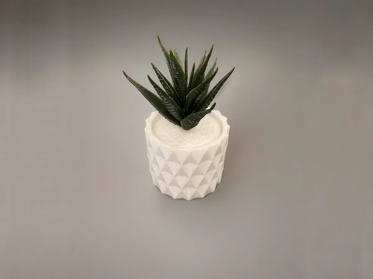 Cache-pot texturé pour plante