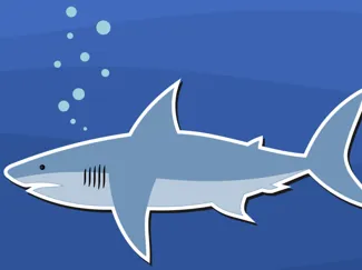 Flexi Shark