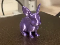 Mini lapin miniature, impression rapide — photo 2
