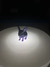 Mini lapin miniature, impression rapide — photo 3