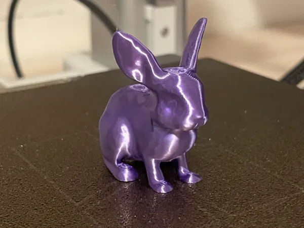 Mini lapin miniature, impression rapide