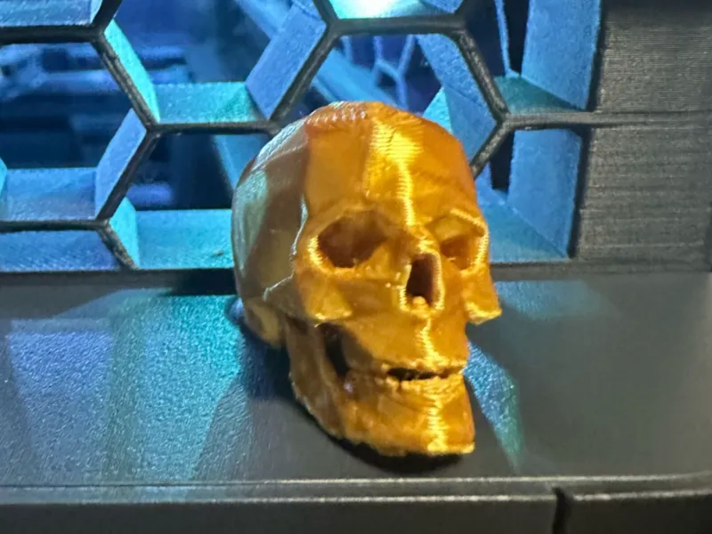 Low Polly P1S Skull Plug