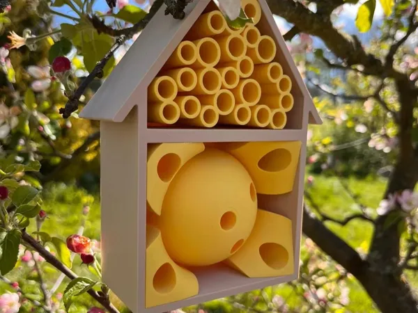https://makerworld.bblmw.com/makerworld/model/US151afa6b331f30/design/2024-04-21_93e2cec0590c.jpg