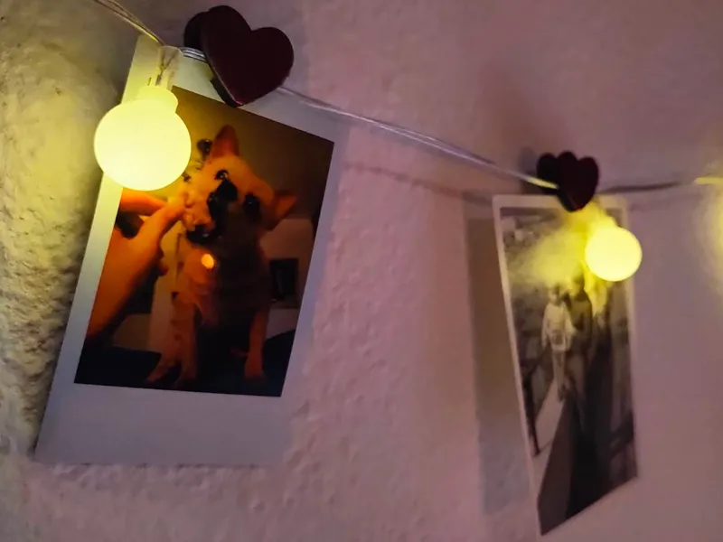 Heart Clip for Pictures and Notes