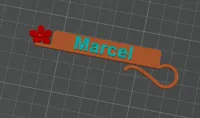 0.2mm layer, 2 walls, 15% infill Marcel