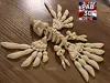 Skeleton Parrot