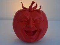 0.16mm layer, 3 walls, 5% infill