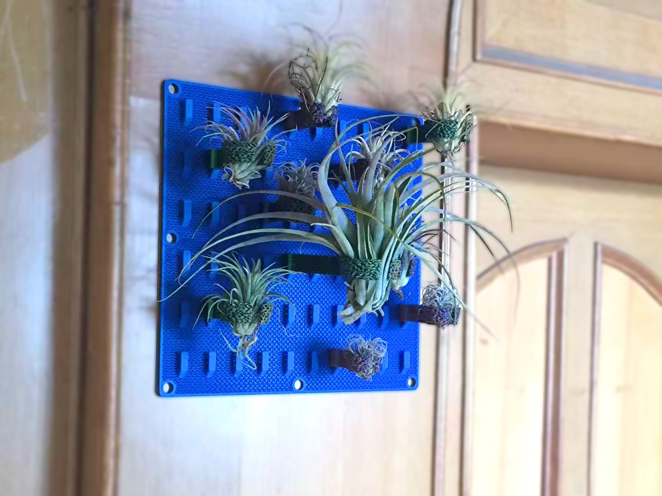 Miniatura 5 do modelo 3D 全镂空空气凤梨种植板 | 壁挂桌面两用，固定夹可定制