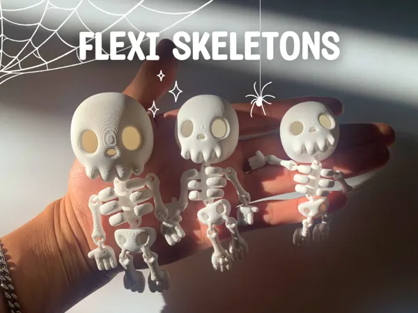 https://makerworld.bblmw.com/makerworld/model/US15361d0351a48d/design/2025-09-30_a9ce4f2680688.png