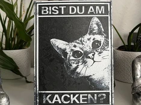 Lustiges Katzen Bild Hueforge