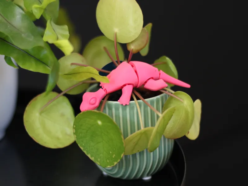 Flexi Lizard