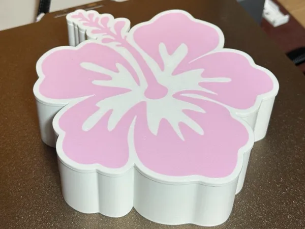 https://makerworld.bblmw.com/makerworld/model/US1537f4cc1092d8/design/2025-09-16_2ccbcf530fe538.jpg