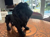 0.14mm layer, 2 walls, 5% infill