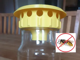 Wasp Trap Jar lid (without support)