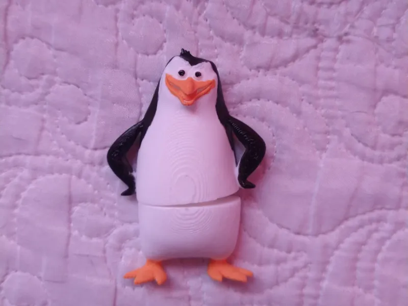 Mini Flexi Rico (Madagascar)