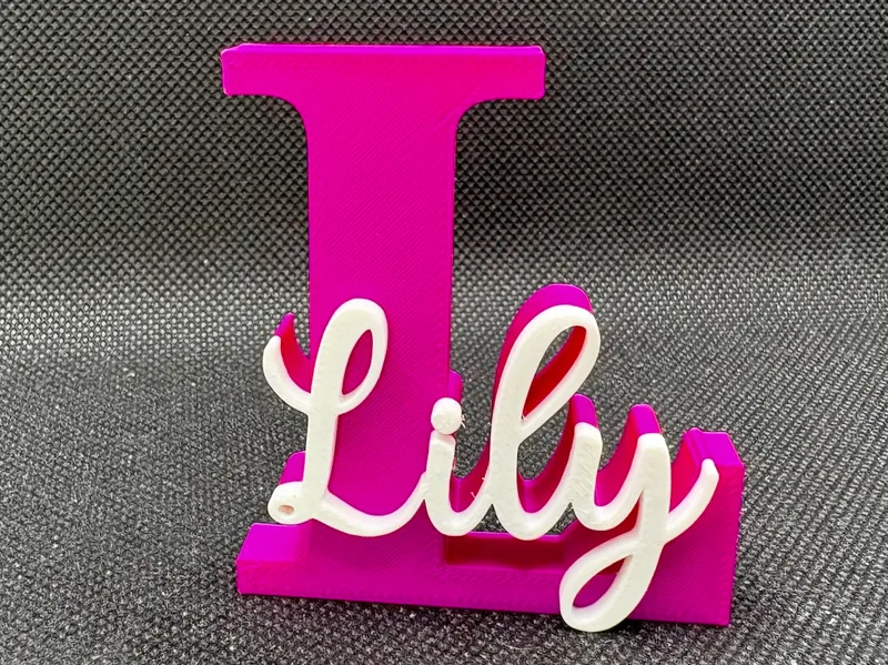 LILY name ornament sign nametag