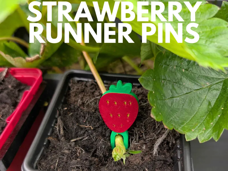 Strawberry Runner Pin