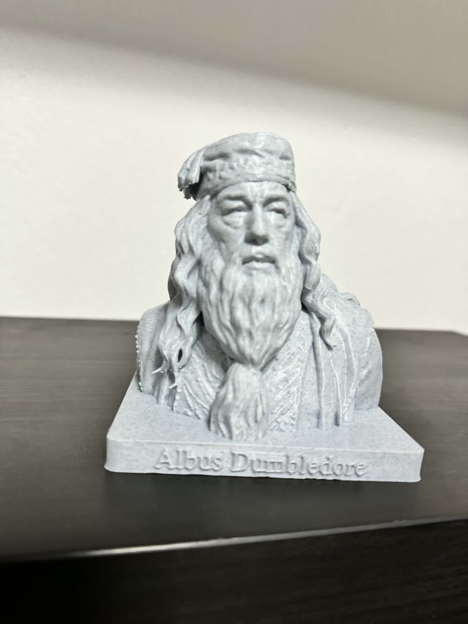 0.2mm layer, 2 walls, 5% infill 25cm