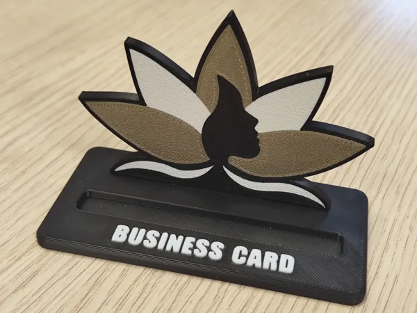 https://makerworld.bblmw.com/makerworld/model/US154caac68d30a6/design/2025-04-23_f5ef3809657658.jpg