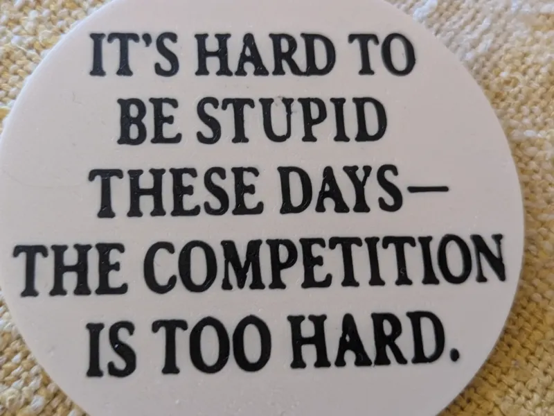 stupid coaster