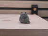 0.08mm layer, 2 walls, 15% infill