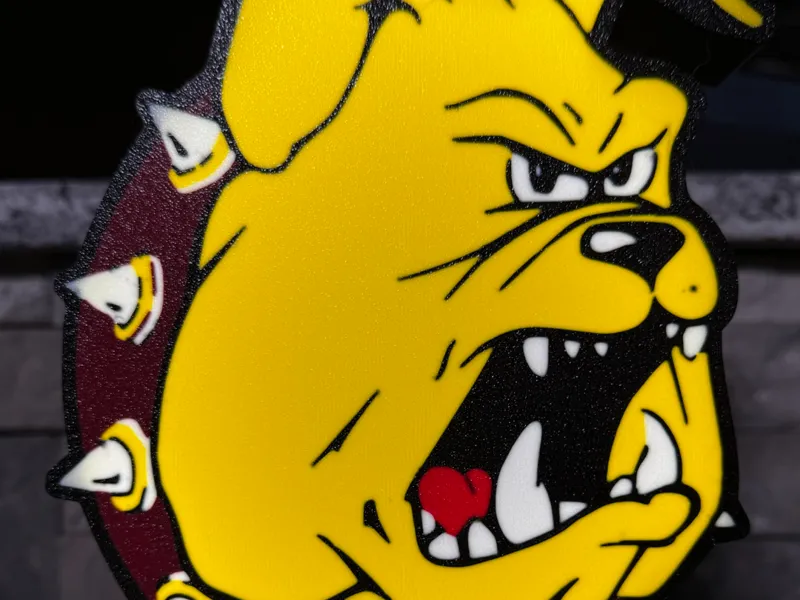 Ferris State University Bulldogs Lightbox