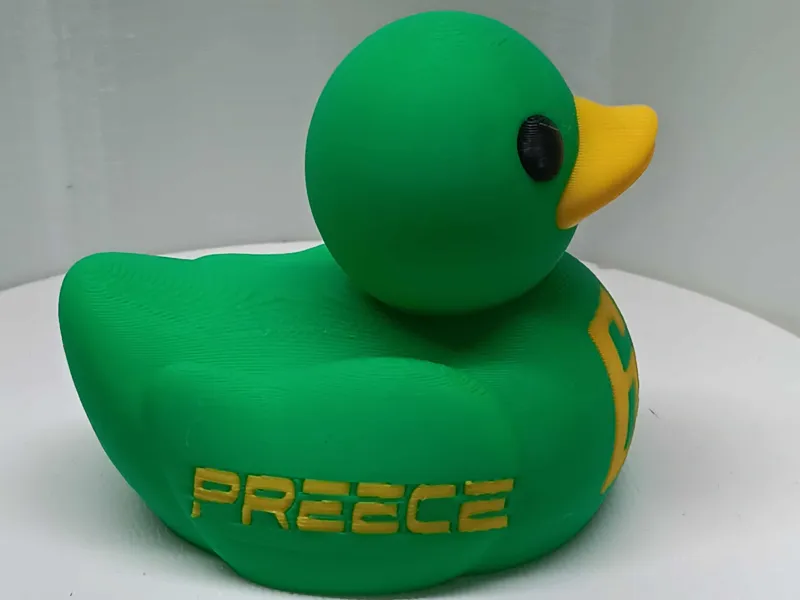 Ryan Preece Duck