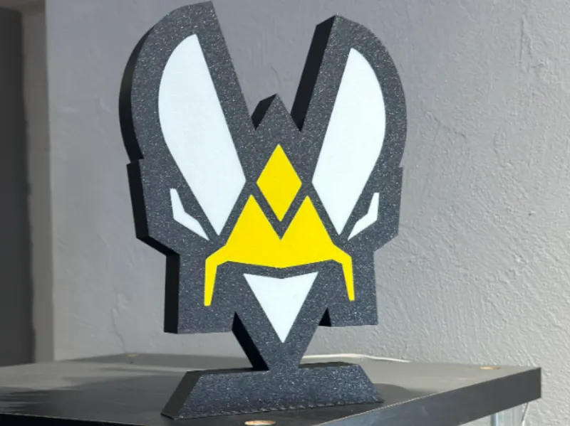 Boite à led Team Vitality