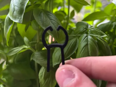 Plant Clip