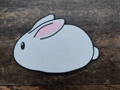 Rabbit bunny coaster