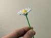 Quick Single Daisy Print V1.1
