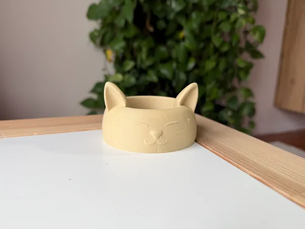 https://makerworld.bblmw.com/makerworld/model/US156616661951d8/design/2025-12-03_c442da3086096.jpeg