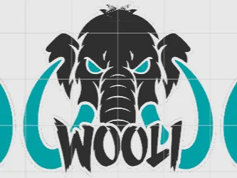 Wooli Keychain