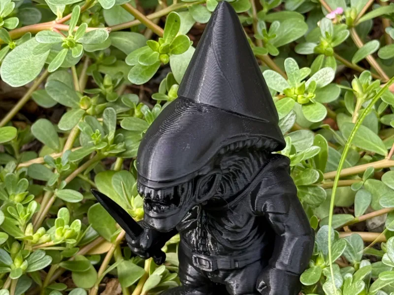XeGnomeOrph