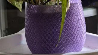 Purple Planter