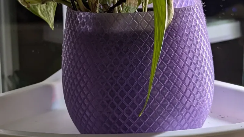 Purple Planter