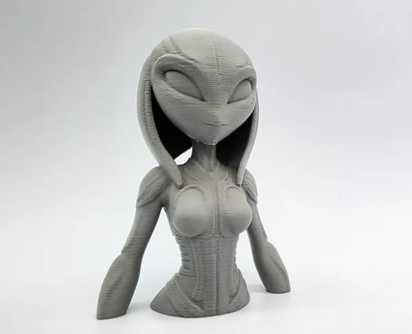 https://makerworld.bblmw.com/makerworld/model/US1573a034c9940/design/2025-04-30_53z77lgpovfw.jpg