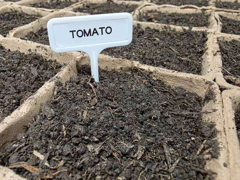 Seedlings tag / label