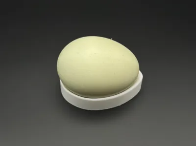 Hatching aid, Brood ring