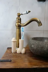 Étui de transport pour brosse à dents en forme de pénis — photo 2