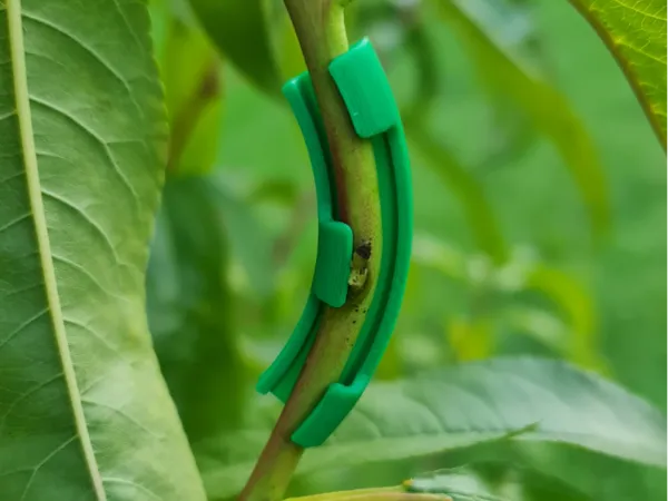https://makerworld.bblmw.com/makerworld/model/US157eb05ed1c34c/design/2025-09-21_df55192402c2a.jpg