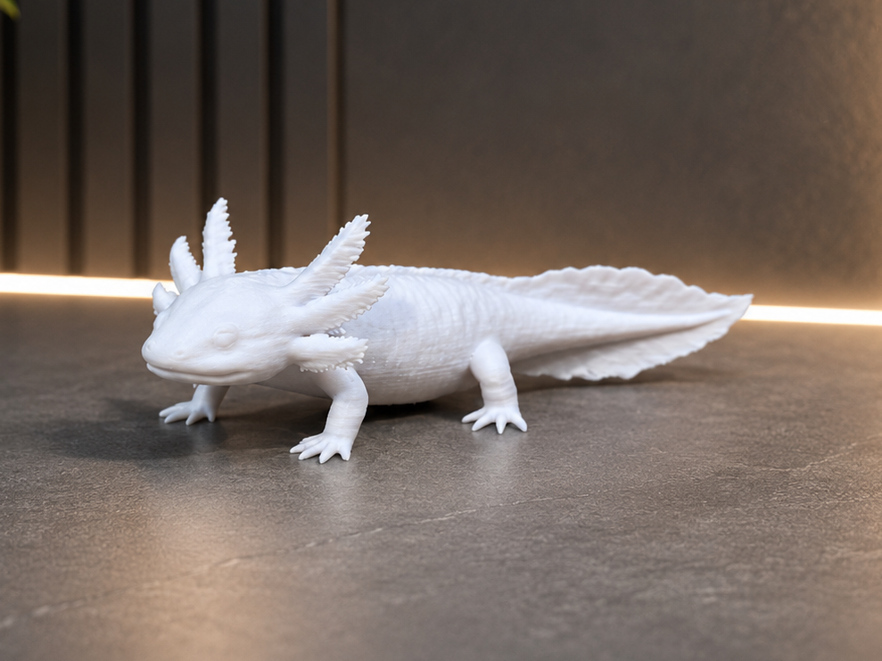 Axolotl - Animal - Decor