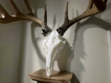 Adorno temático: Broadhead 2.0 Full Deer Skull - BAS Antler Mount — vista de referencia 4